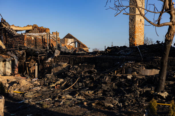 Reliable Board Up Services contractor in Green Isle, MN by Fire Damage Doption