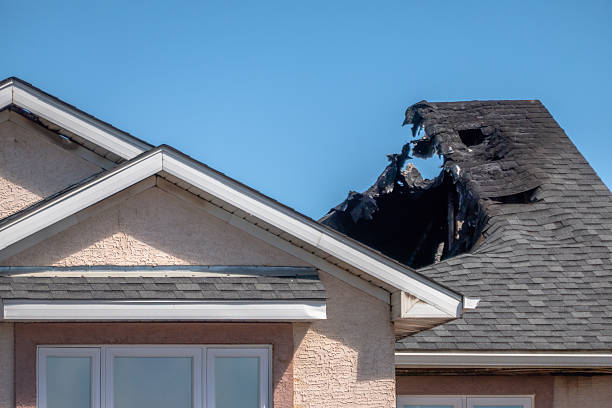 Top rated local Board Up Services specialists in Green Isle, MN